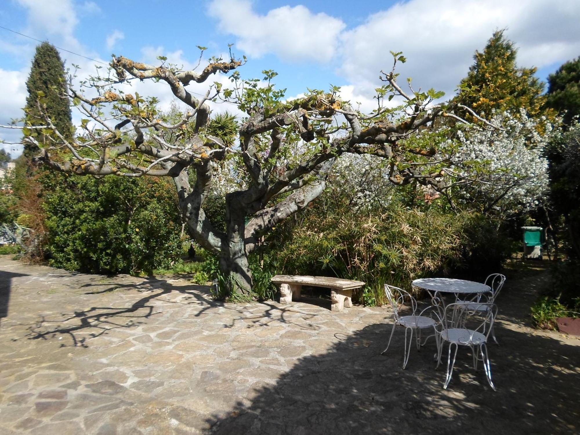 Appartement Giens